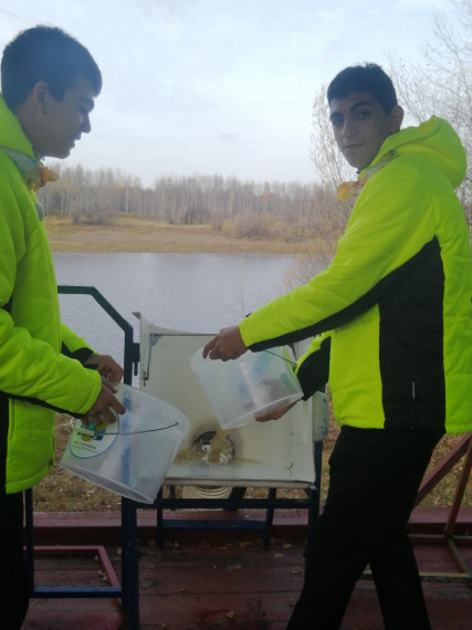 Волонтеры экологического отряда «ЭкоГрад».
